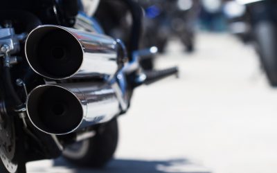 77648497_m_normal_none